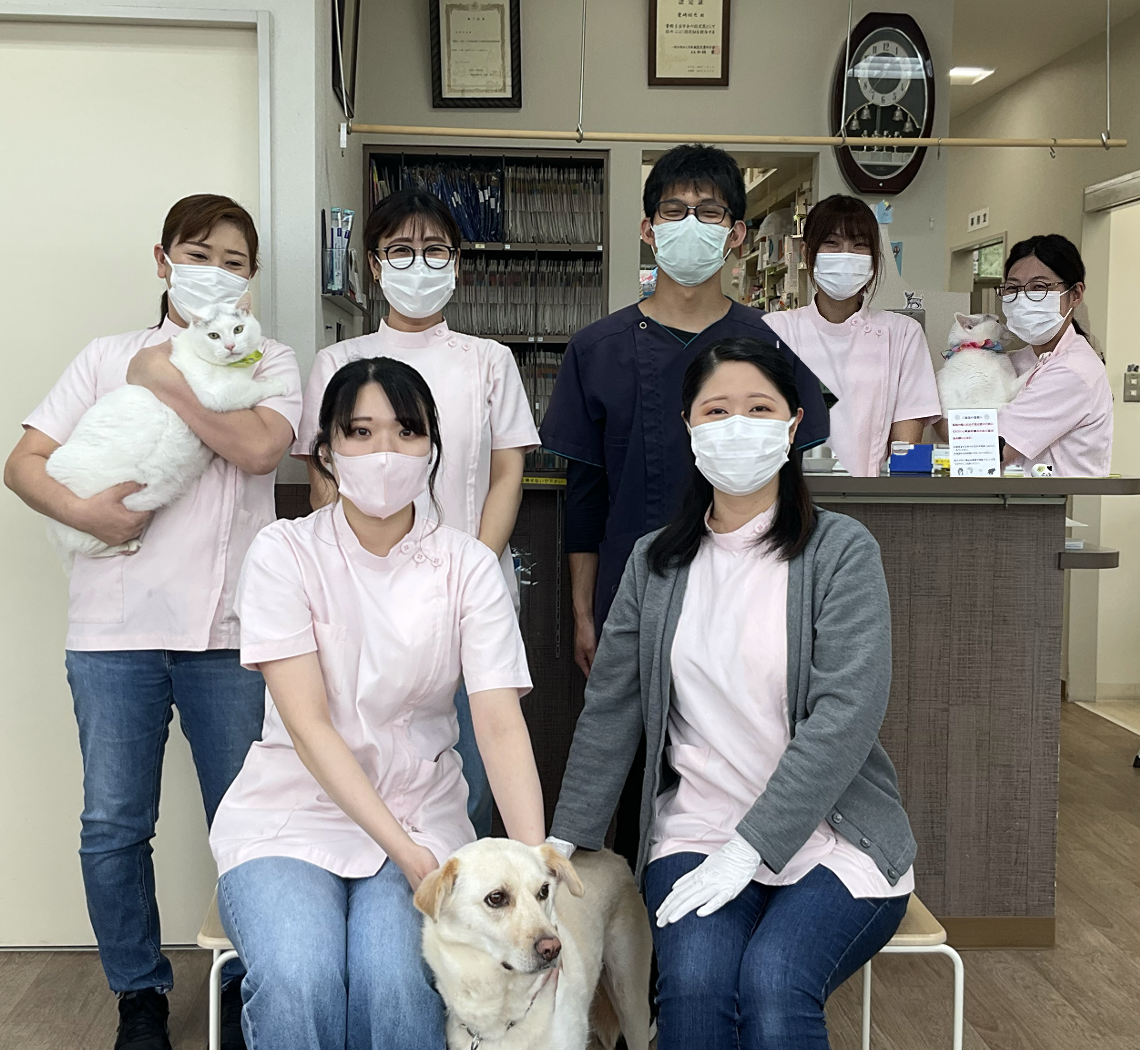 柴崎 動物 病院